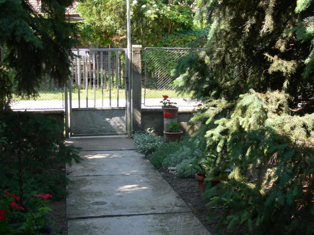 Joky Katona Rooms & Apartments Palić Eksteriør billede